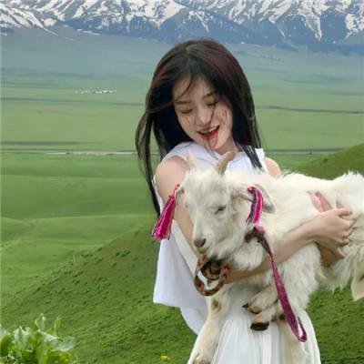 香车美人